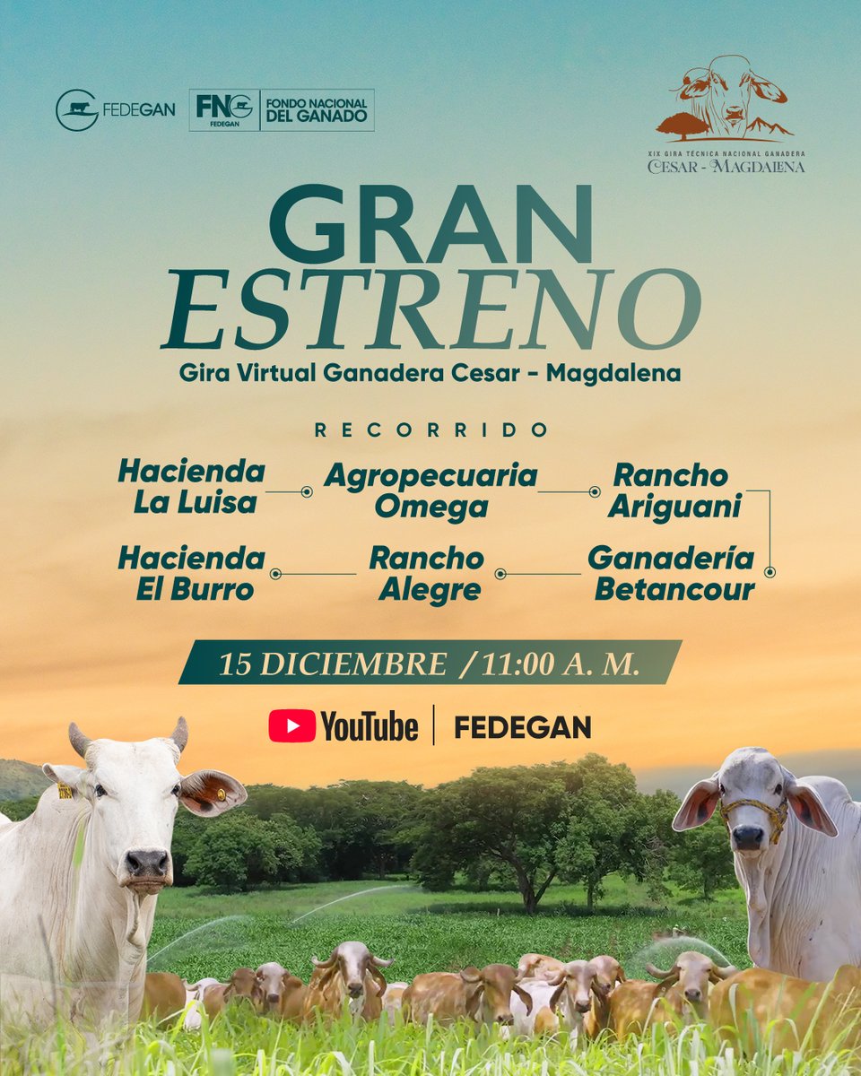 Fedegan's tweet photo. 📢 HOY 📌 GRAN ESTRENO 📢
🤠📲 Gira Virtual Ganadera Cesar – Magdalena

La gira ganadera más histórica de Fedegán-FNG se realizó este año: un recorrido por 6 producciones altamente productivas y verdaderos referentes mundiales en sostenibilidad ambiental.

¡Además, podrá ver cómo celebramos los 500 años de la ganadería colombiana y el Día del Ganadero!

⏰ 11:00 a.m.
📲 Canal de YouTube de Fedegán

#ConstruyendoGanadería @jflafaurie