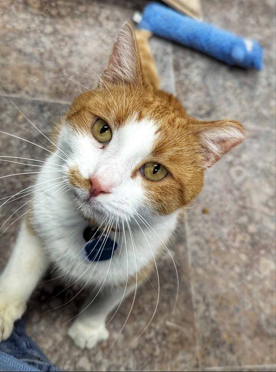 Crash's Landing tweet media