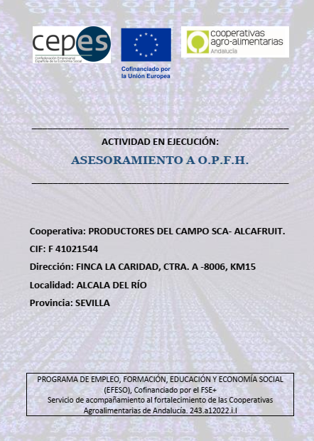 CoopsAgroAND's tweet photo. 📢#CoopsAgroAND, a través de @CoopsAgroSEV
, tiene en ejecución varias actividades como parte del programa  #EFESO. Una de ellas es 'Asesoramiento a O.P.F.H' que se está desarrollando en Productores del Campo SCA Alcafruit y San Sebastián SCA.
👉Cofinanciado por el Fondo Social Europeo Plus
@CEPES2 #CEPESFSE #CEPESEFESO