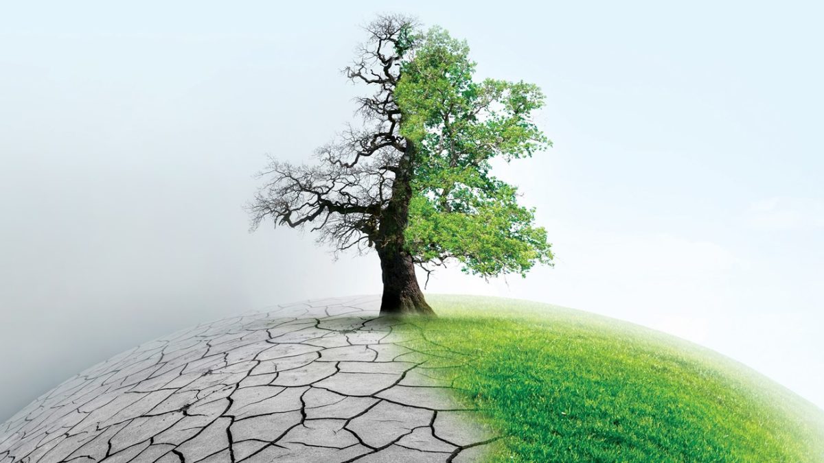 أسست المملكة سوق الكربون الطوعي (VCM) في عام 2022 بواسطة صندوق الاستثمارات العامة ومجموعة تداول السعودية، لتكون منصة لتداول أرصدة الكربون الناتجة عن تقليل أو إزالة انبعاثات غازات الاحتباس الحراري. 