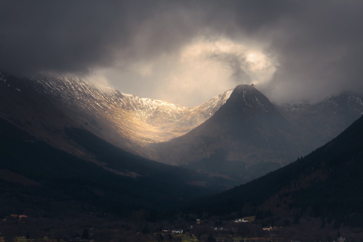 Damian Shields tweet media