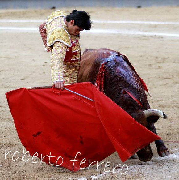 ¡Buenos días! #FelizMartesParaTodos
Con la derecha, en Las Ventas; foto, Roberto Ferrero. ForosToreros.Com
Con la derecha, marcando un pase hondo, profundo, mano firme en mitad del estaquillador ¿Quién torea?