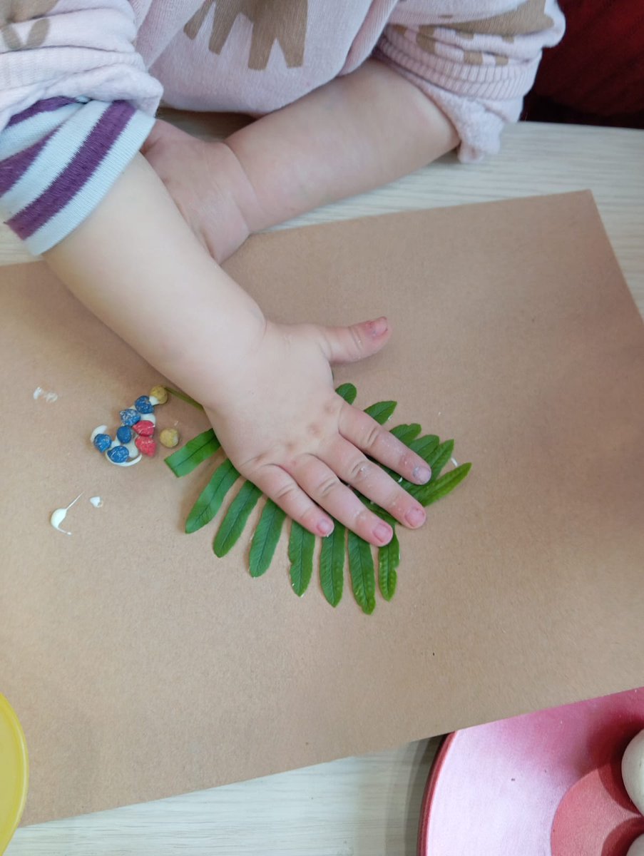 Concello de Pantón tweet media