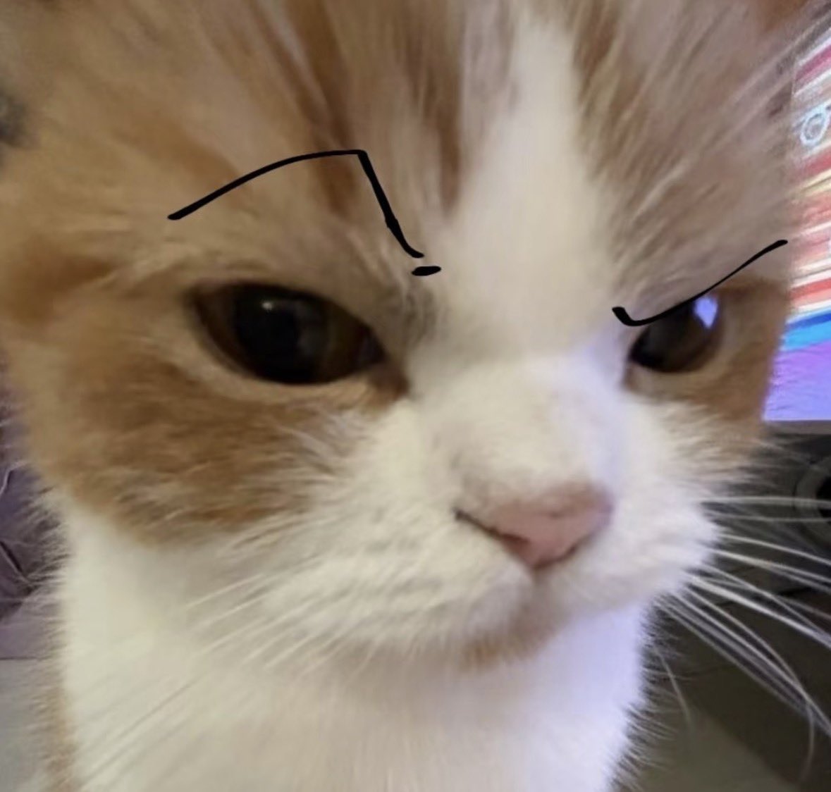 บอกทุกคนว่าเสียงเม:มาก
คนในดิส : เสียงเหมือนเป็ด