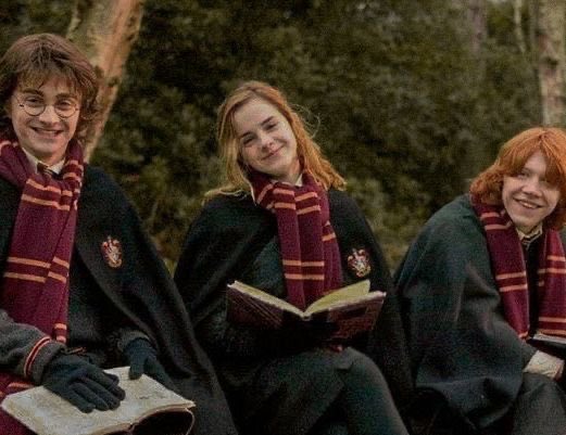 세상: ㅈ대봐라 이뇬아
해리포터: 이리와.....많이 힘들었지?