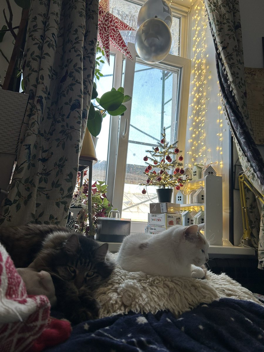 Несмотря на леса за окном, все равно зависнуть дома норм