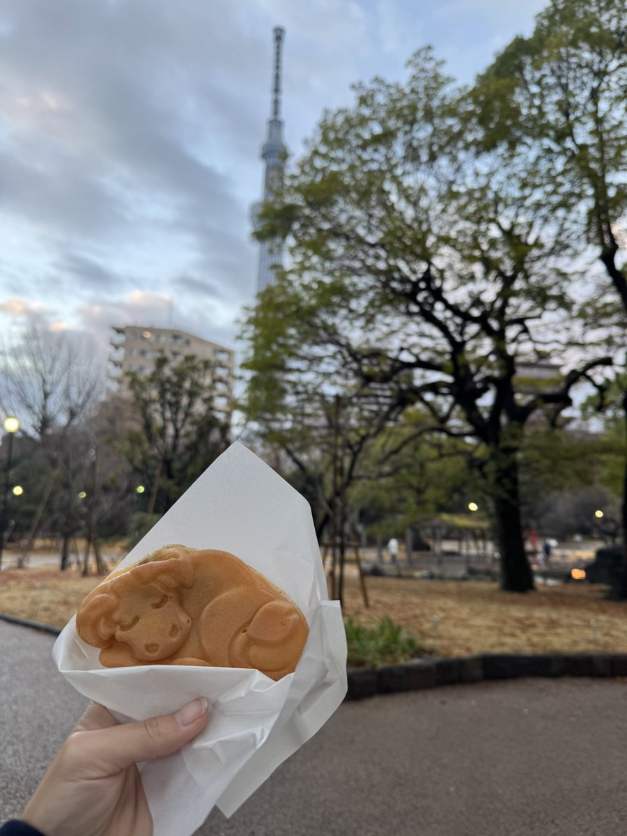 #黒の牛 のイベントに参加しました！
TIFFで映画はお先に見ていたのでふくよ（牛）に会えたのが嬉しかった～！始まる前に触らせてもらった🥹🩷
田中泯さんの場踊りもずっと見たいと思っていたから嬉しかった！木々やそこにある石とか小さなエネルギーのつぶつぶみたいのが沢山感じられた¨̮⃝