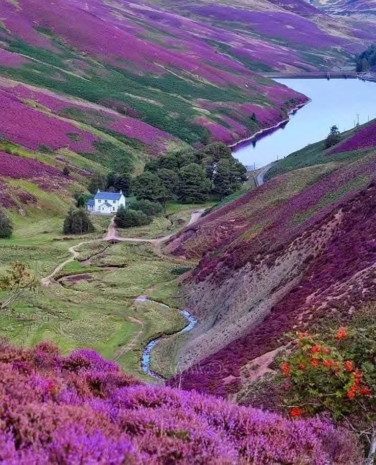 BarssFreddie's tweet image. Photo by Judith Winger 🏴󠁧󠁢󠁳󠁣󠁴󠁿