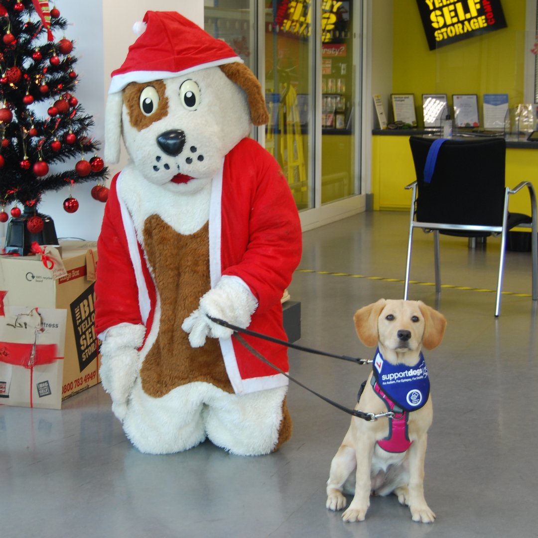 Support Dogs tweet media