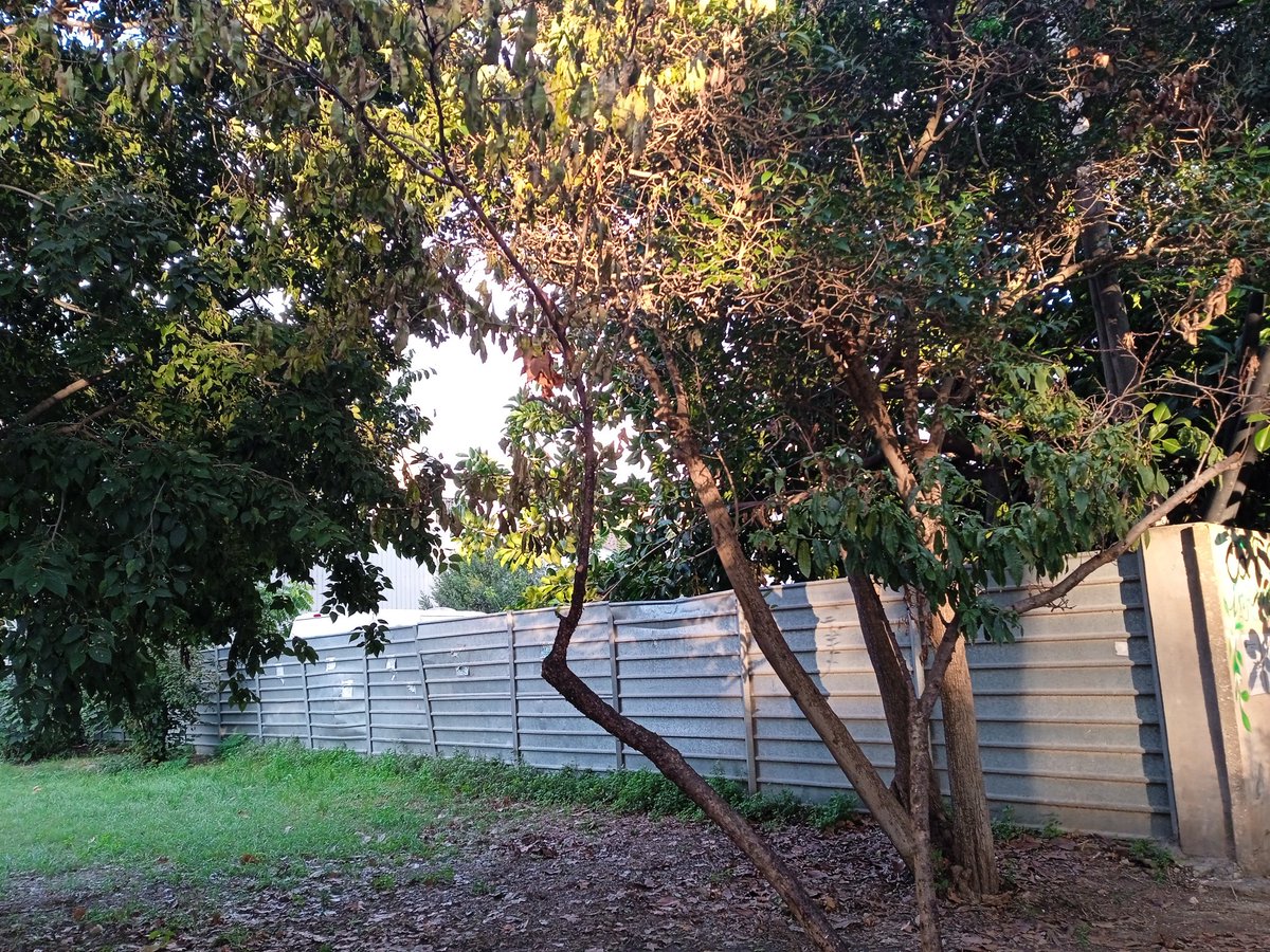 Defensemcalarnus tweet media