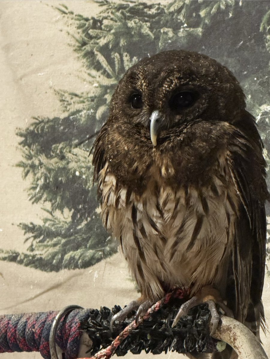 BMSG TRAINEE Official tweet media