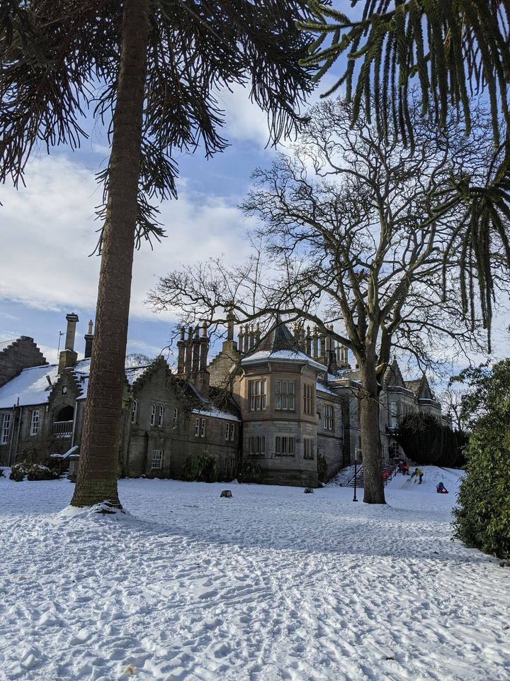 Edinburgh Museums tweet media