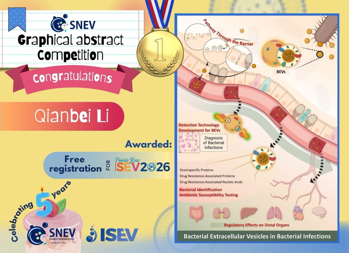 🏆 Graphical Abstract Competition Winner 🎨

We received submissions from all over the world, which will all be displayed at Education Day 2026 🇵🇷

The winner is Qianbei Li (Nanfang Hospital, Southern Medical University, China), who will receive free registration to ISEV 2026 🎉