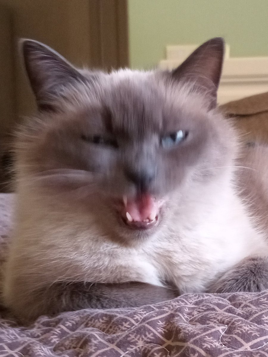 У Сиреночки розкішне тіло, скиньте донат, щоб це розбачити...