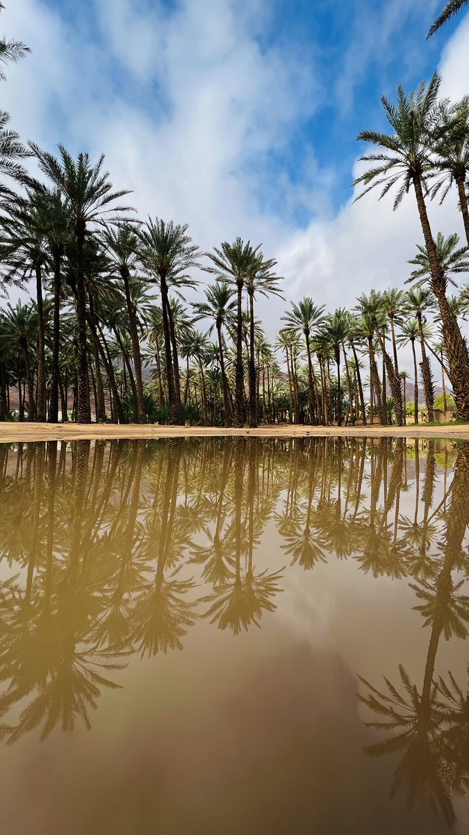 متعب | AlUla tweet media