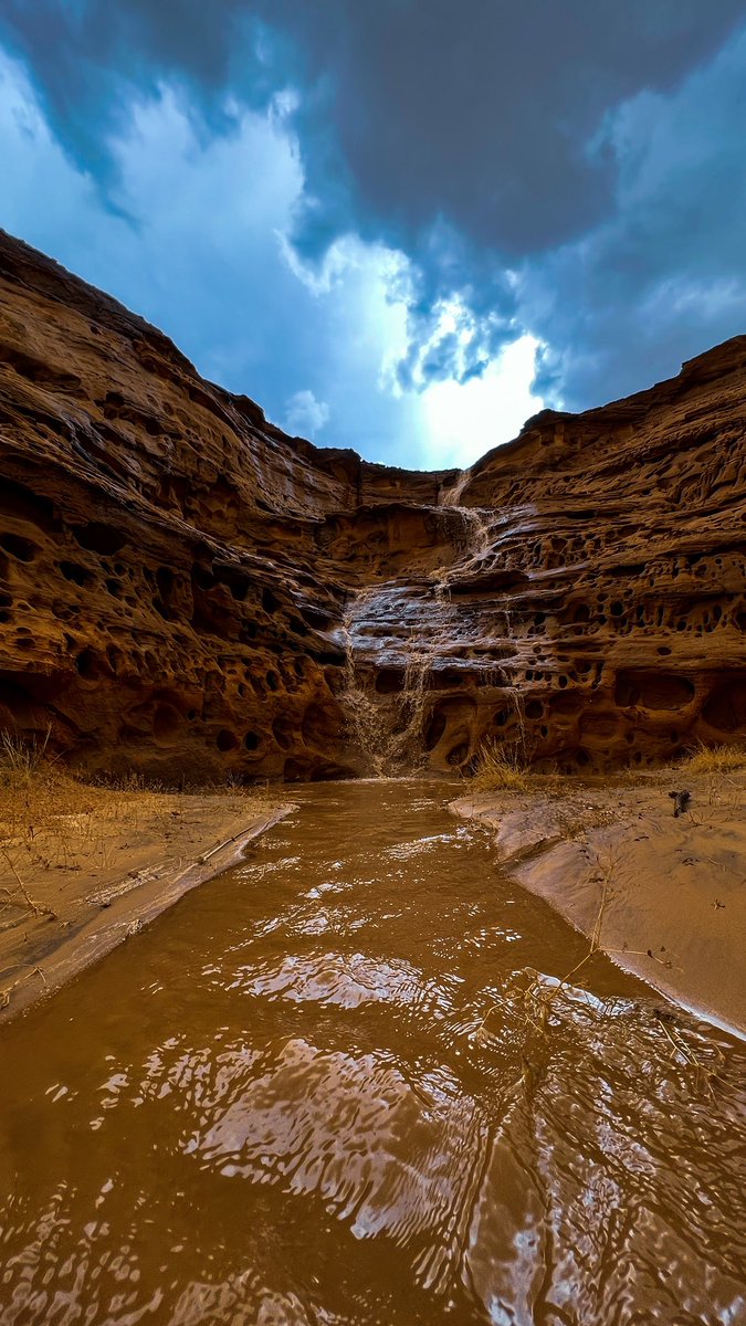 متعب | AlUla tweet media