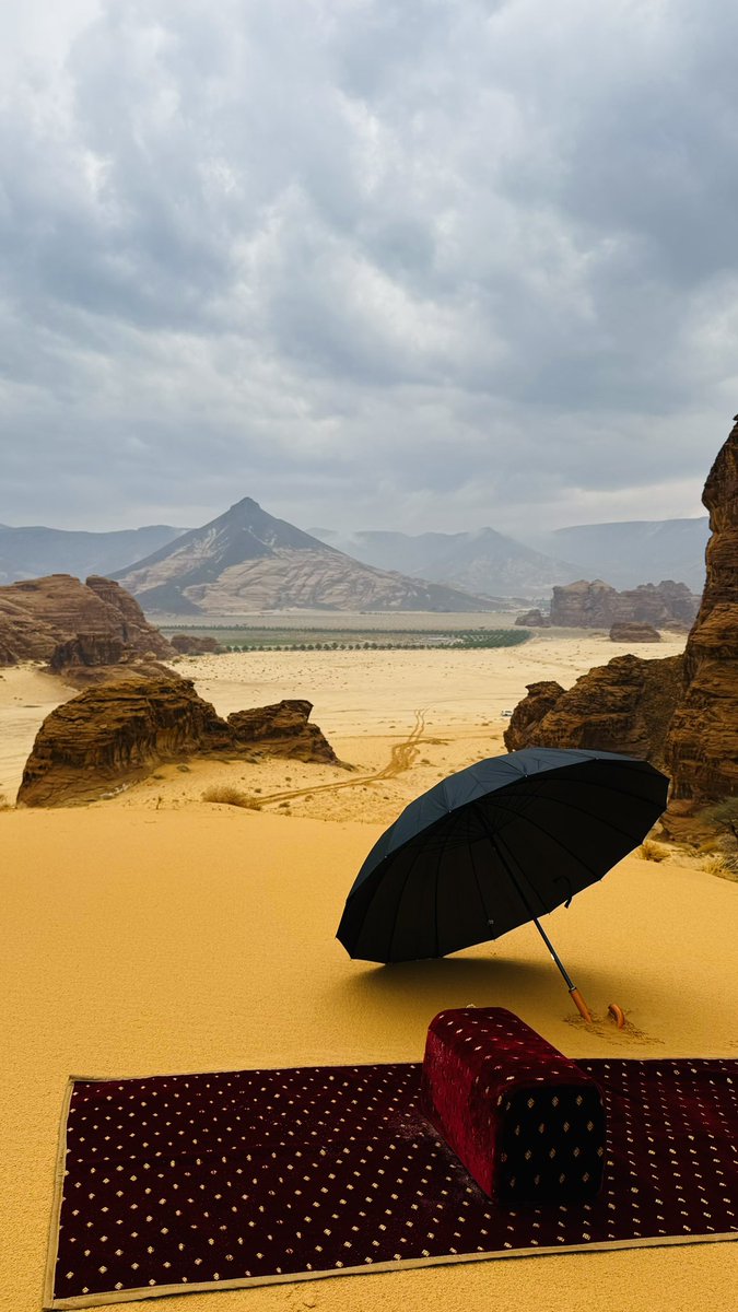 متعب | AlUla tweet media