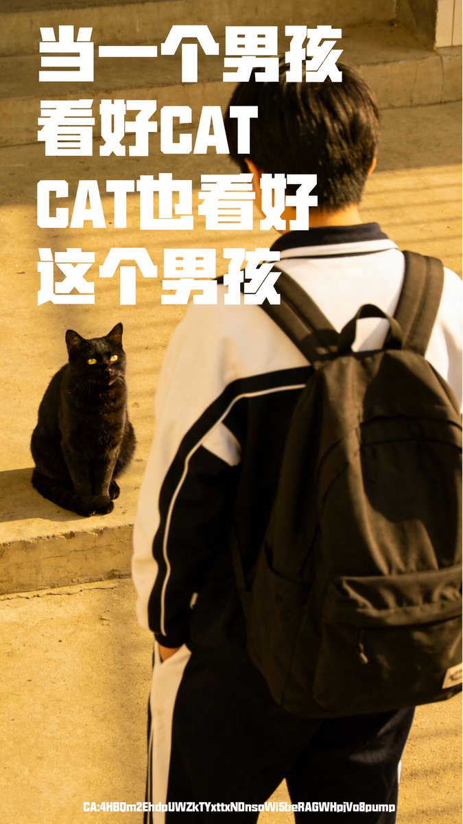 赞赞🐱Building CAT tweet media