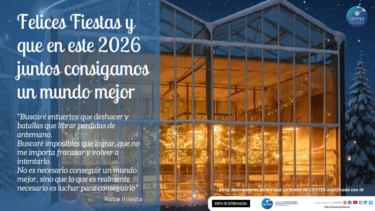 CICYTEX's tweet image. La familia que compone @CICYTEX te deseamos de corazón❤️ unas Felices Fiestas y que en este 2️⃣0️⃣2️⃣6️⃣ juntos consigamos un mundo mejor🌍✨