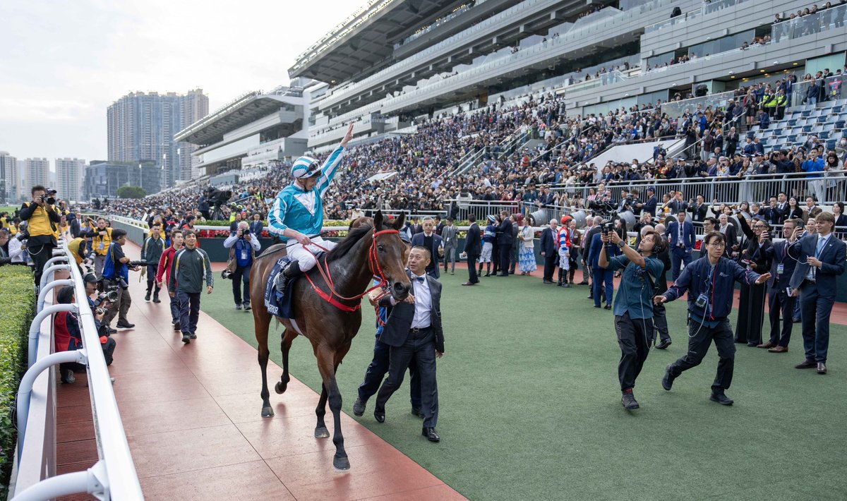 4 pictures from theHong Kong International races week 2025