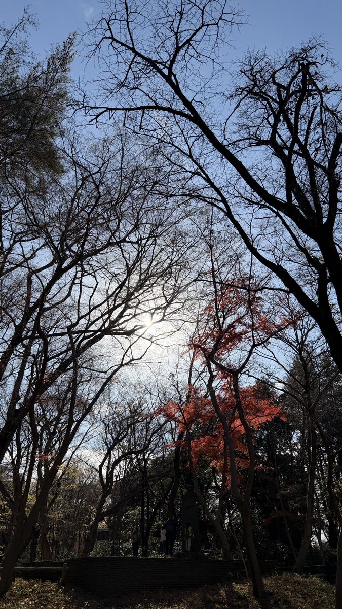 design512design's tweet photo. 井の頭さんぽ、冬鳥観察会初参加。

毎日歩いているルートなのに、目線を変えるだけでこんなに新鮮か。

フィールドで耳を澄ませ目を凝らしながら聞く先生のコメントはどれも印象的で、やはり知れば知るほど楽しい世界。

ミサゴが魚持って飛んでた！

久しぶりに野鳥図案も描こう https://t.co/1ylv5Batwx