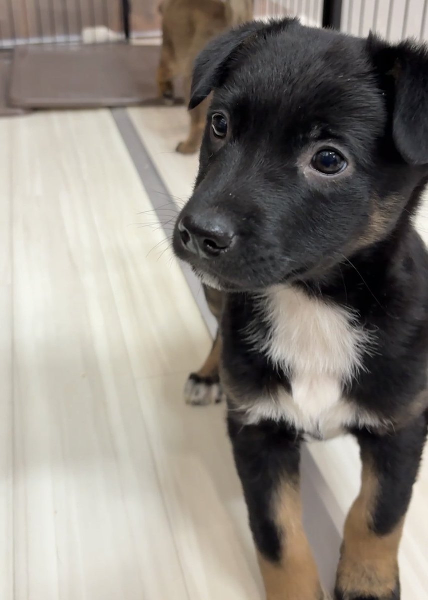 🌙 チロチャオ✨ (@va78p6bma) / Posts / X