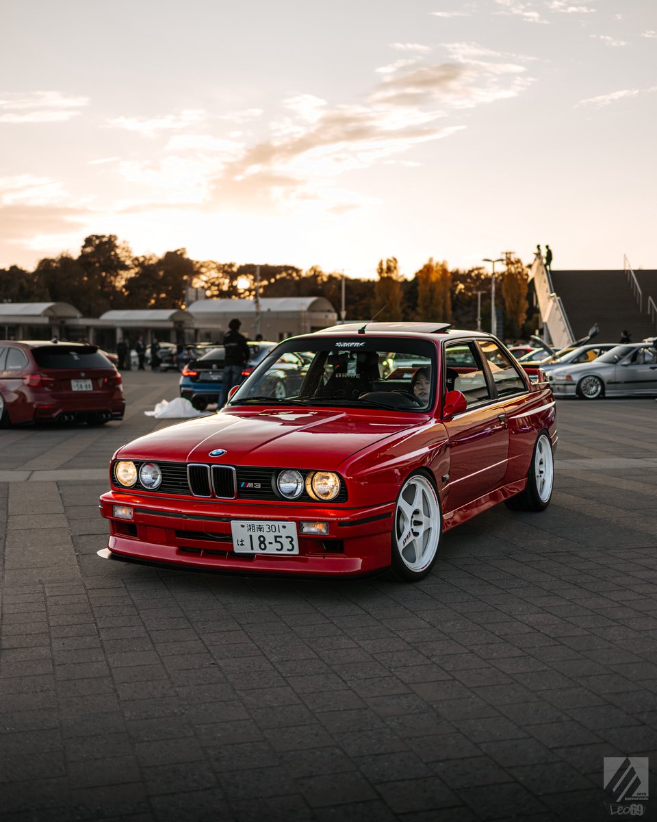 Leo69.pg tweet media