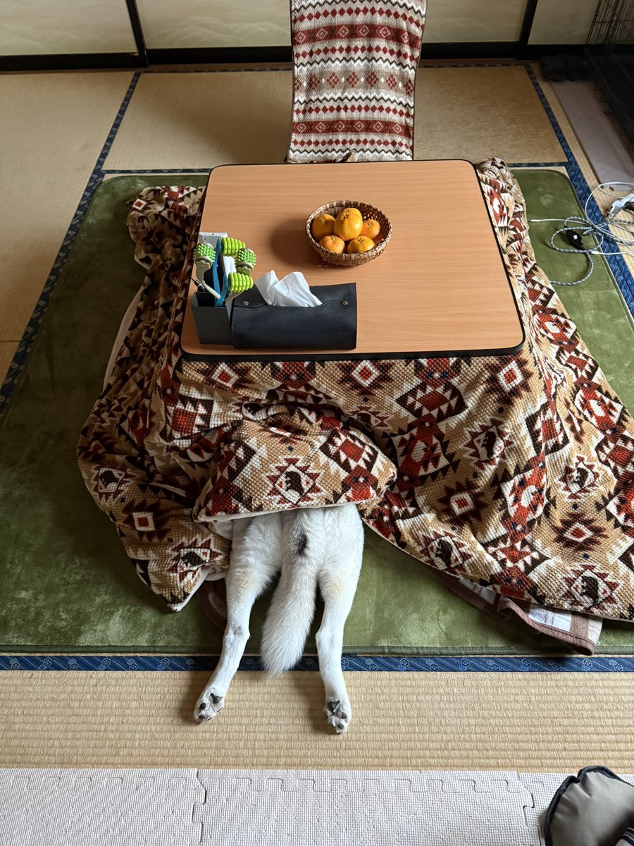 深山 tweet media