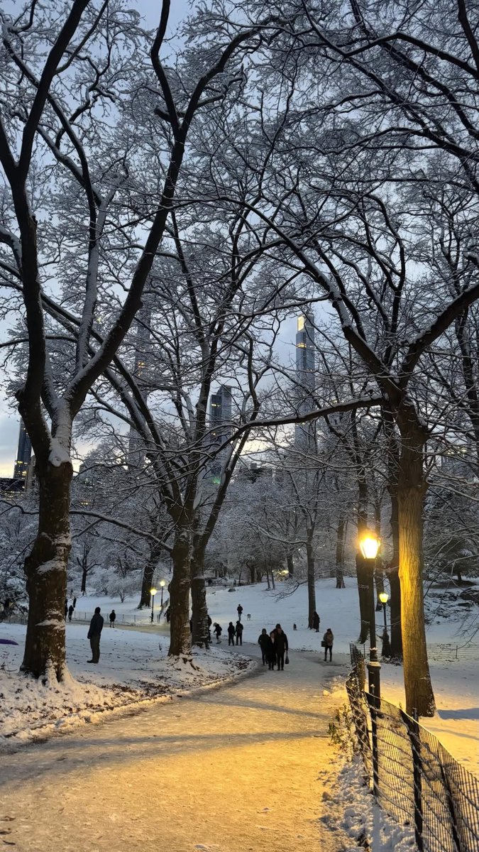 pamvonhadder's tweet photo. snow in new york is always magical ❄️✨ https://t.co/A1gKdJr51w