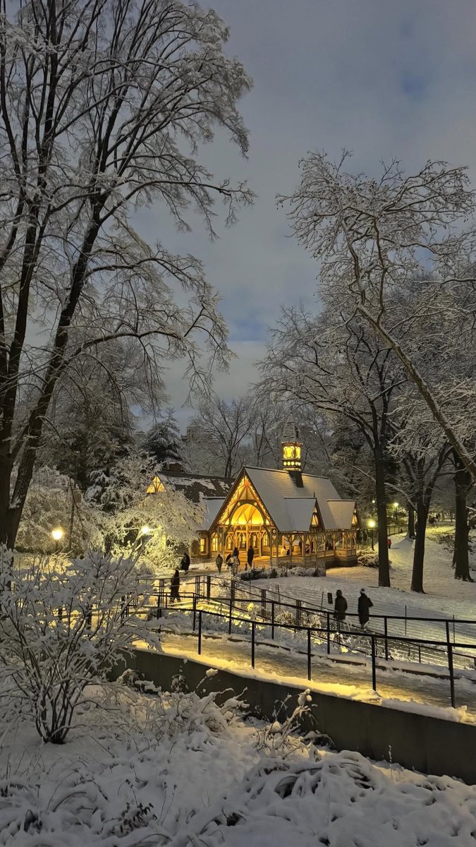 snow in new york is always magical ❄️✨