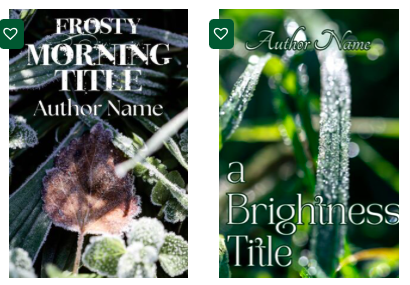 chiaraphoto's tweet photo. New #bookCovers!
Gallery https://t.co/LFUHGe5M1T
#book #ebook #audioCover #indie #selfpublishing #premadecover #coverArt #coverBook #romance #novel #poetry #fantasy #fiction #scifi #writer #novelist #author #literature #narrative #libri #autoriindipendenti #daisy #nature https://t.co/YhmNh2PDwQ