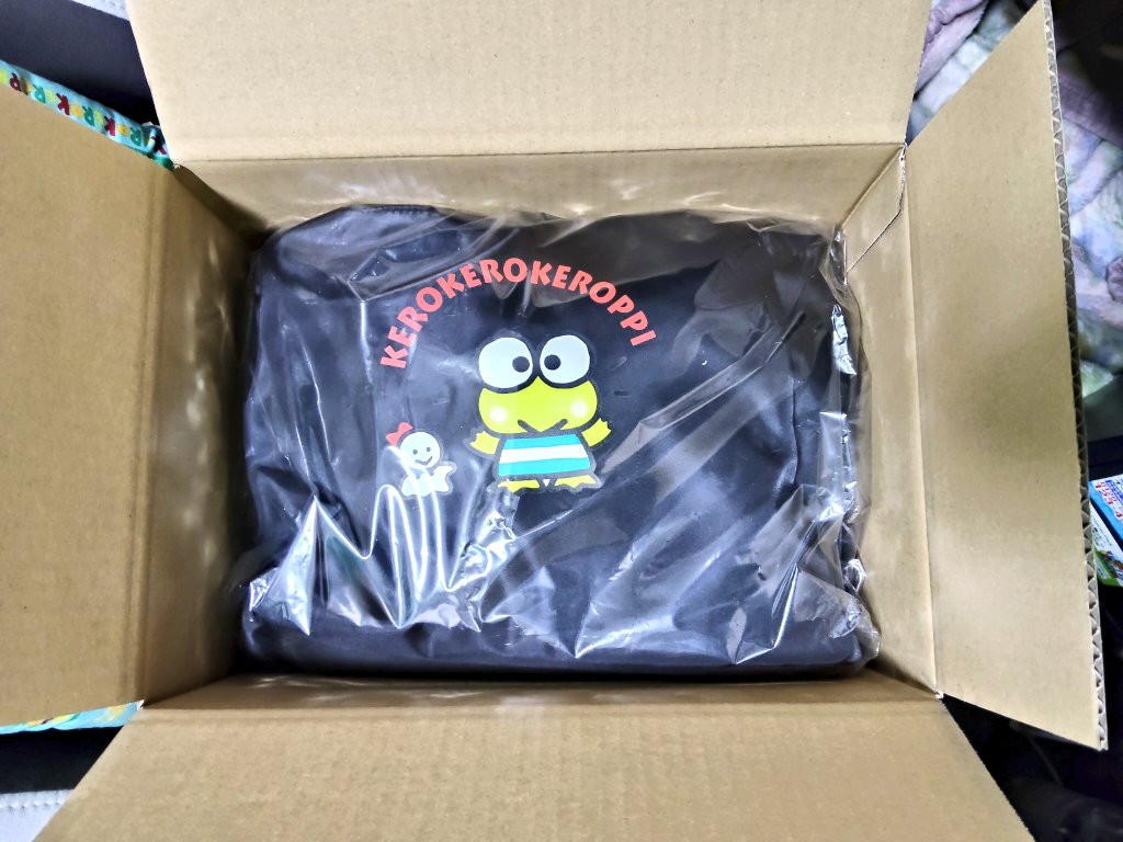 蓮の上けろっぴ (@kero2keroppi) / Posts / X