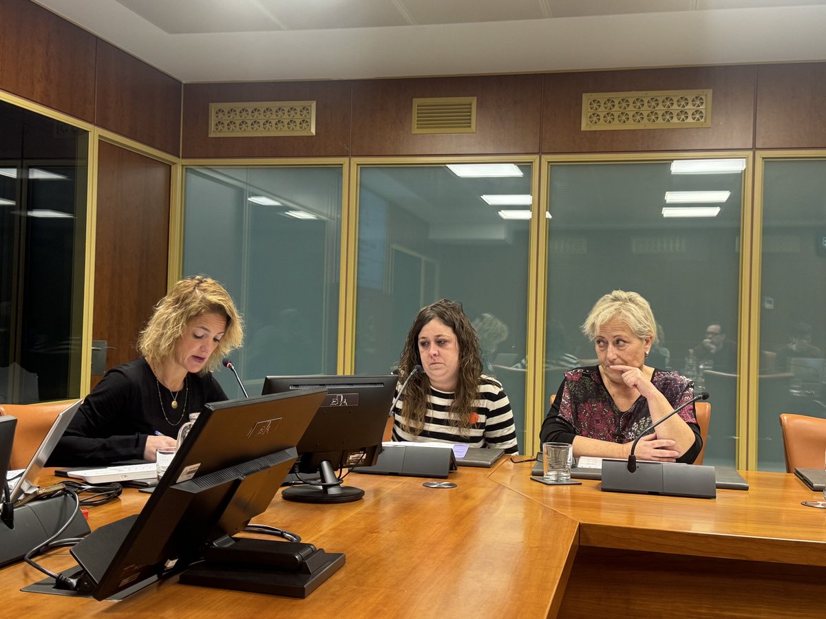 Gaur Osasun Batzordean Asuncion Klinikako langileak izan ditugu.

Oraindik ez dago Plan Funtzionala.
Ez dakigu egin diren azterketak zein aukera hobesten duten: Asuncion Klinika publifikatzea edota eraikim berri bat egitea.

Konponbide integrala eta serioa behar dugu.