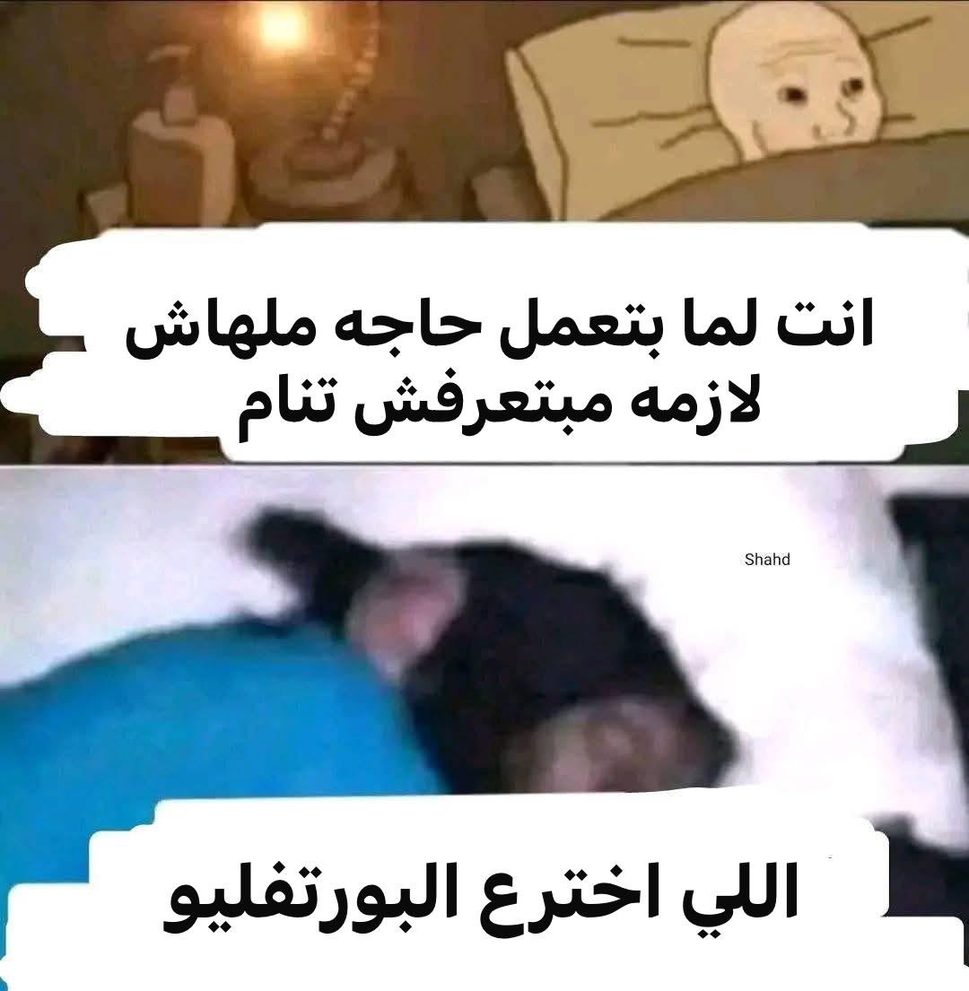 Salma Sameh (@salmaa_sameh0) on Twitter photo 