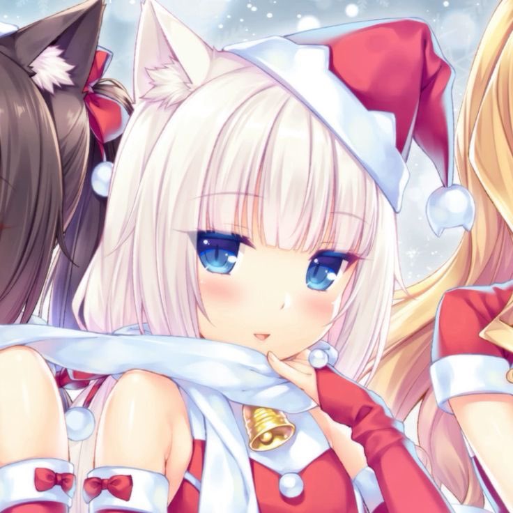 Nami (@mimic_wn) on Twitter photo 