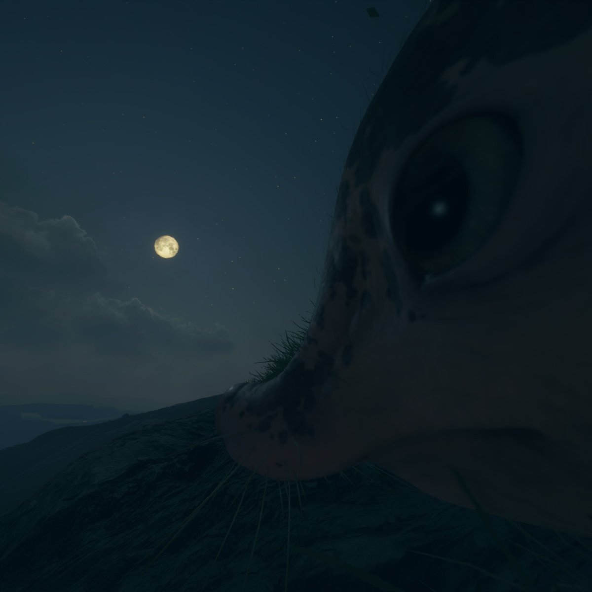 theHunterCOTW tweet media