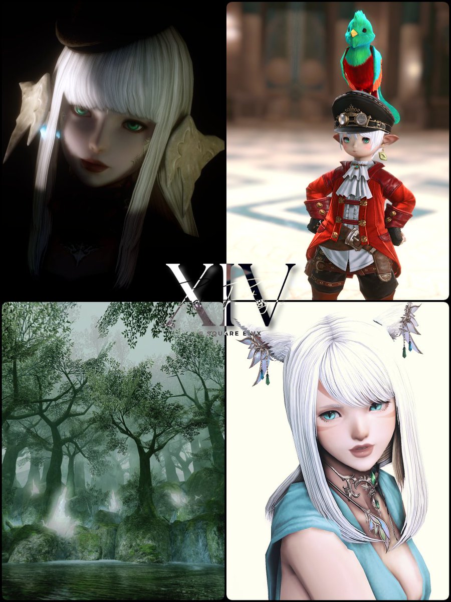 𐊖𐊠𐊯𐊠𐊢𐊠༺𐬹 (@Saraca33) / Posts / X