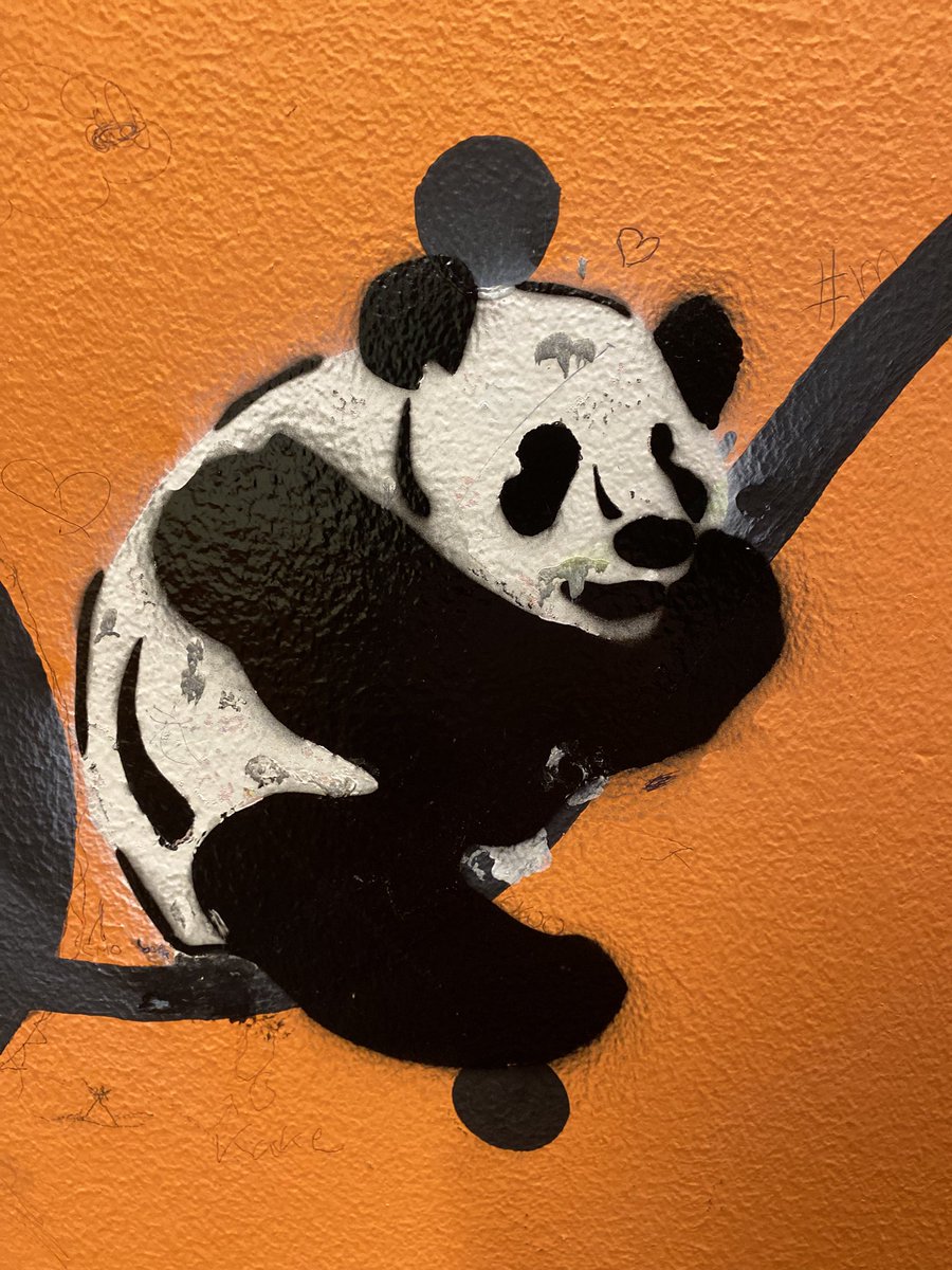 Sonia Zuccaro tweet media