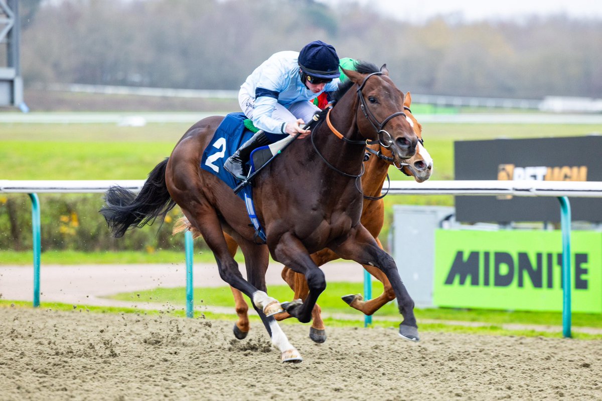 HighclereRacing's tweet image. ANGEL GABRIEL makes all at Lingfield to break his maiden under Rossa Ryan for trainer Ralph Beckett 🏆

Many congratulations to all of his owners in The Cedar Syndicate  👏🏼

#HighclereRacing #RacehorseOwnership #HorseRacing