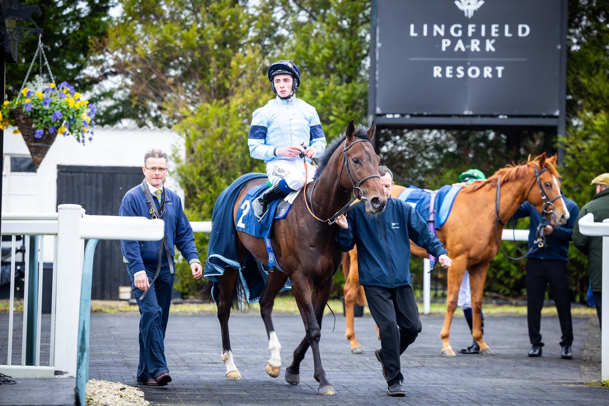 HighclereRacing's tweet image. ANGEL GABRIEL makes all at Lingfield to break his maiden under Rossa Ryan for trainer Ralph Beckett 🏆

Many congratulations to all of his owners in The Cedar Syndicate  👏🏼

#HighclereRacing #RacehorseOwnership #HorseRacing