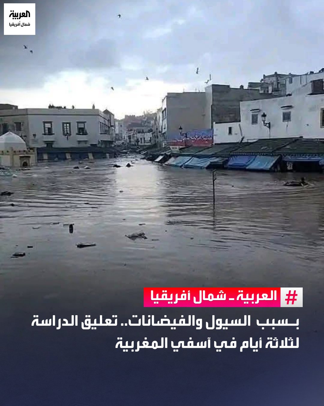 أفادت المديرية الإقليمية لوزارة التربية الوطنية والتعليم الأولي والرياضة بآسفي، بتوقيف الدراسة مؤقتًا في جميع المؤسسات التعليمية على مستوى الإقليم لمدة ثلاثة أيام، نتيجة التقلبات الجوية.. وأوضحت المديرية في بلاغ رسمي أنه، وبالتنسيق مع السلطات الإقليمية، تقرر تعليق الدراسة أيام الإثنين والثلاثاء والأربعاء، وذلك في إطار التدابير الوقائية 