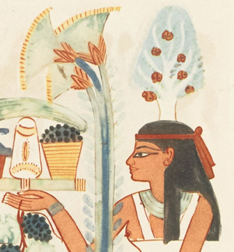 Immortal Egypt: Prof. Joann Fletcher tweet media