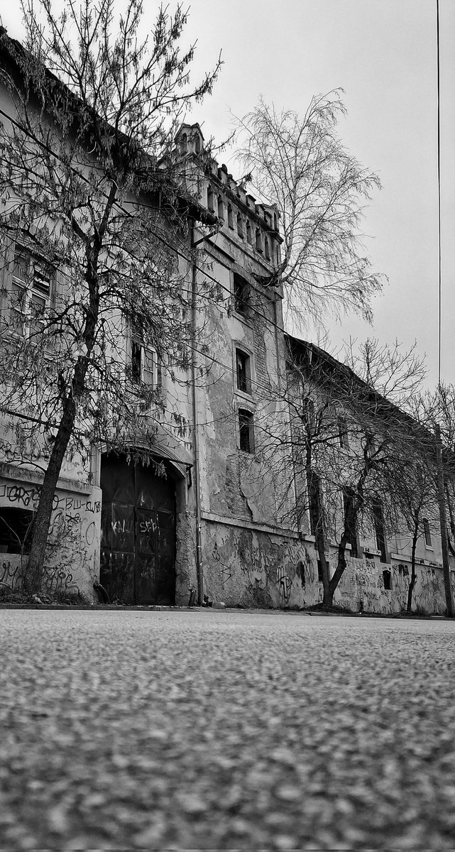 Korak i Put (@photo_stra52945) on Twitter photo 