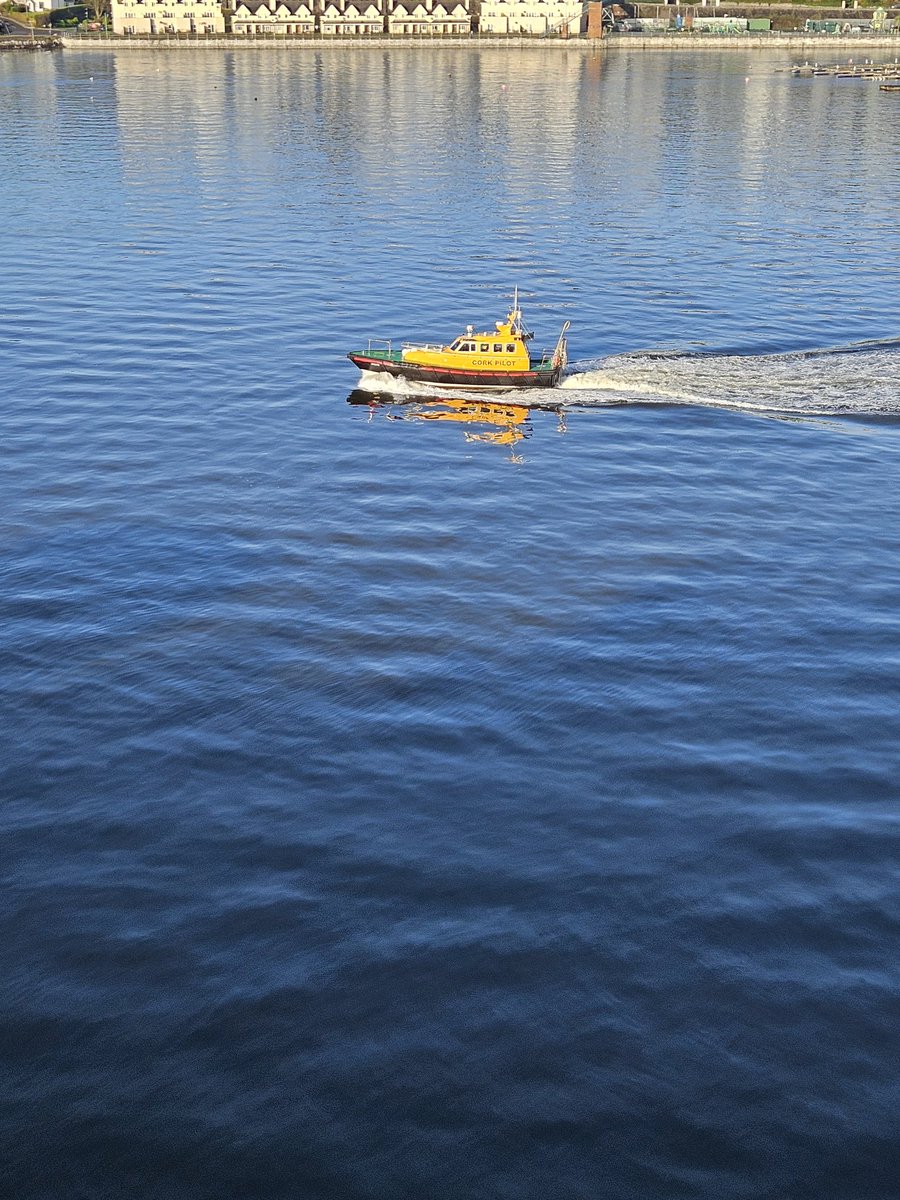 official_dthoma's tweet photo. @PortofCork pilot passing Haulbowline in the sunshine this afternoon https://t.co/3IrxrYdcjh