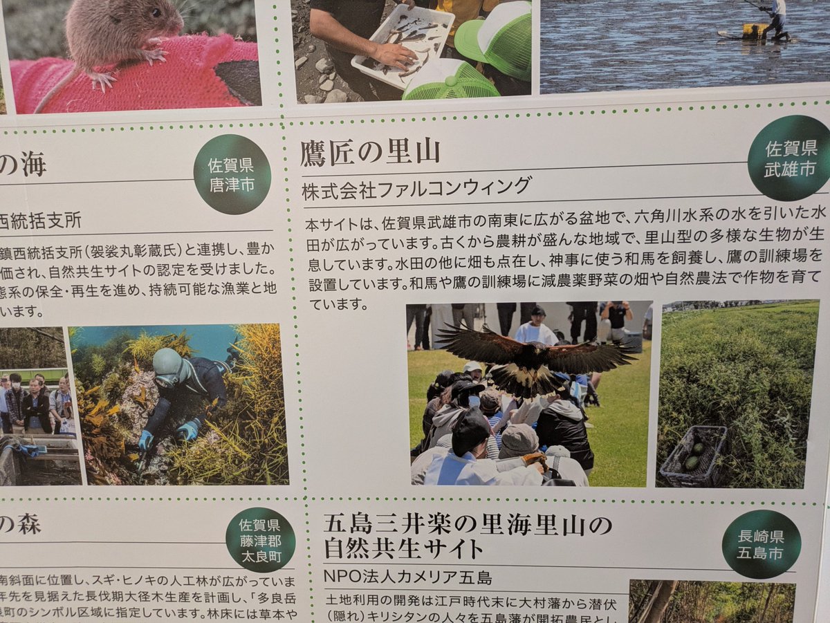 kinnosuke_go's tweet photo. @MisatoFalconry この件とは無関係で申し訳ありません
昨日、天神に行ったら
エルガーラのストリートで発見しました https://t.co/BuXx4JkvVf