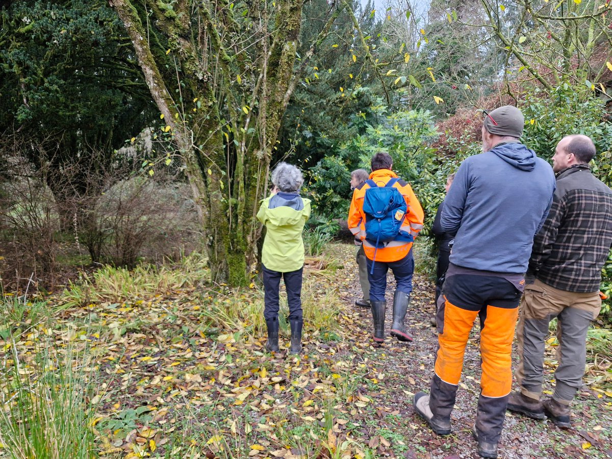 Thank you to the 30+ people who gathered at Kilmory from across the west of Scotland to share experiences of tackling Rhododendron ponticum in #ScotlandsRainforest, with great discussion on volunteering, recovery after clearance and next steps.
Supported by <a href="/HeritageFundUK/">The National Lottery Heritage Fund</a>