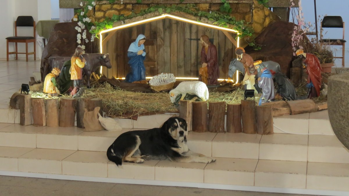 Luis Valderas tweet media