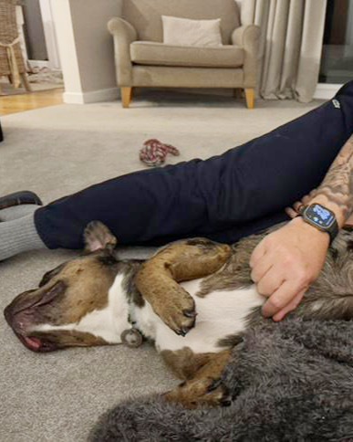 DT_Leeds's tweet image. Arlo spent over 2 months waiting to find his PAWfect match, but he got there in the end! 🎉🐶❤

We're so happy that he'll be spending Christmas in his #HappyPlace, a forever home. 🥰

#RescueDog #AdoptDontShop #GoodNews #Leeds #FeelGood #Adopted #DogsOfChristmas @DogsTrust