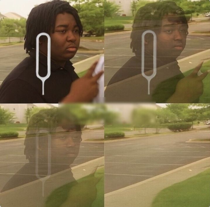 dinosaur tweet media