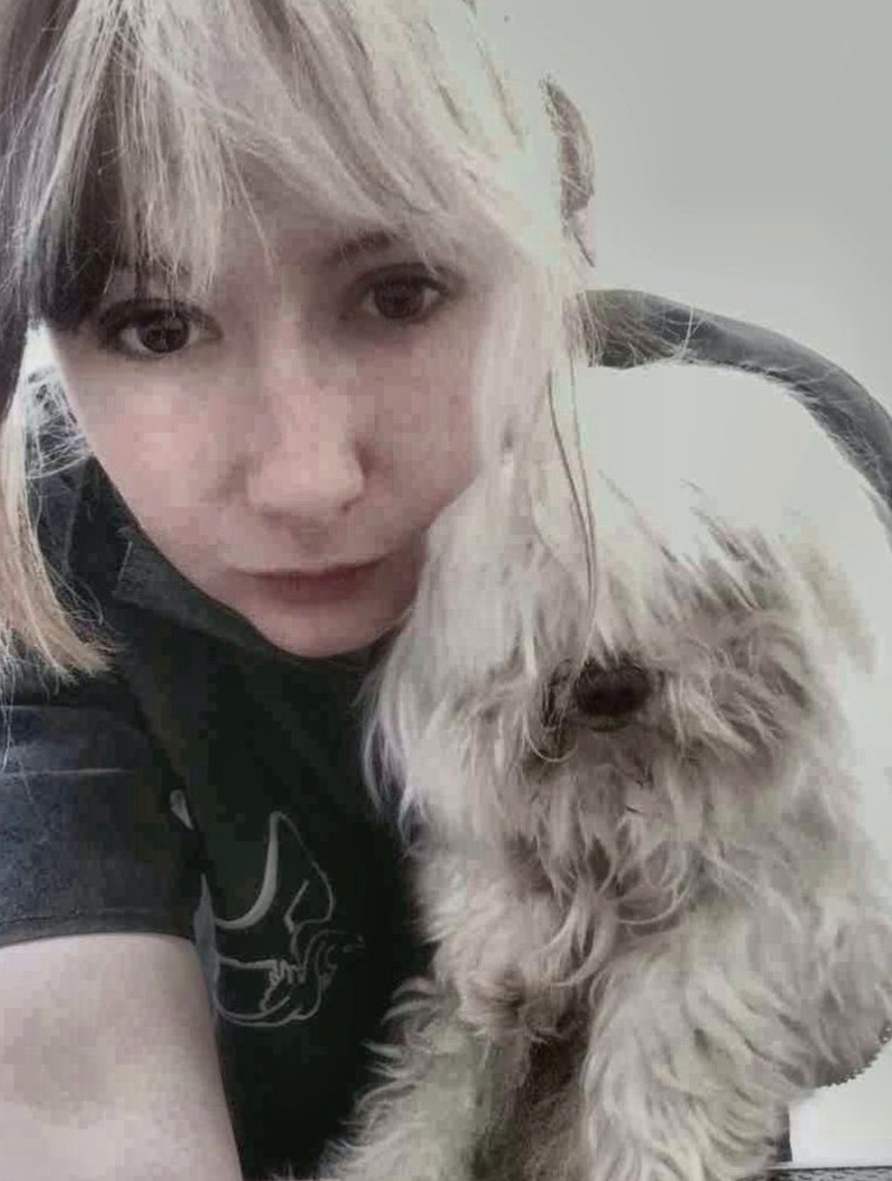 simchulyoung tweet media